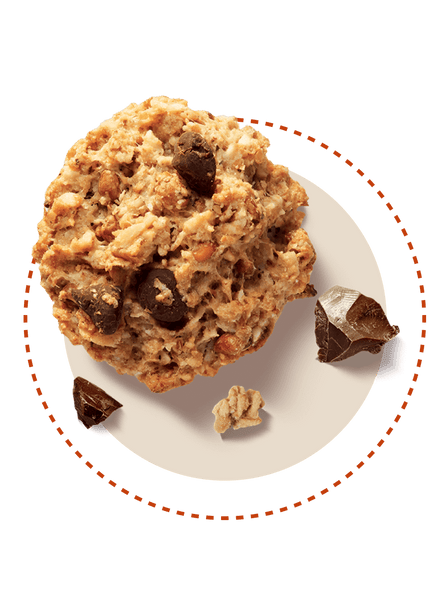 Galbusera Oat Choc Chip Cookies 300g