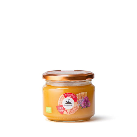 Alce Nero Organic Wildflower Honey 300g